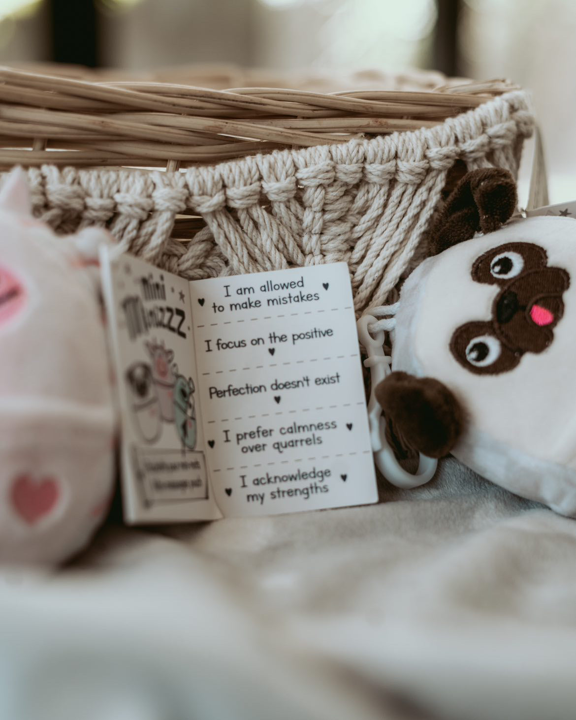 Bundles Minizzz & Mini-Minizzz - Lesyka inc