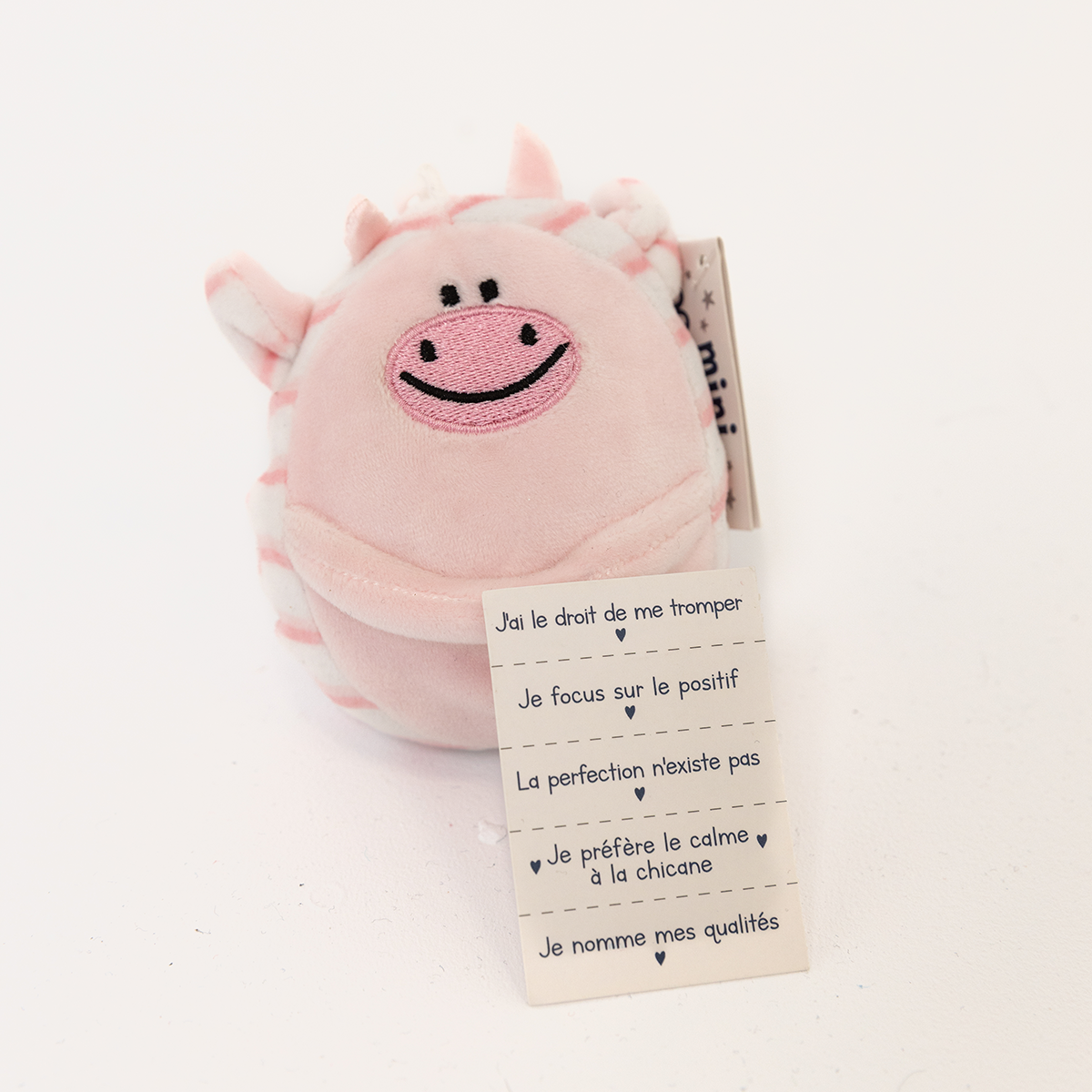 Bundles Minizzz & Mini-Minizzz - Lesyka inc