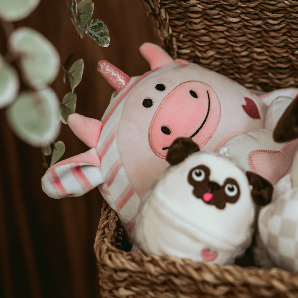 Bundle 2 Minizzz et 1 Mini - Toutous évolutifs avec berceuse et veilleuse pour bébé
